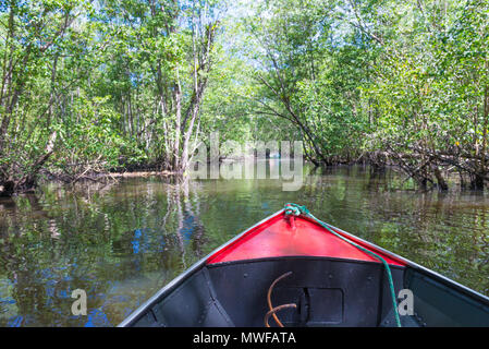 Itacare, Brasile - 9 Dicembre 2016: canoa attraversando una mangrovia canal sotto un tunnel di alberi Foto Stock