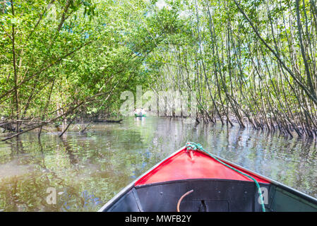 Itacare, Brasile - 9 Dicembre 2016: canoa attraversando una mangrovia canal sotto un tunnel di alberi Foto Stock