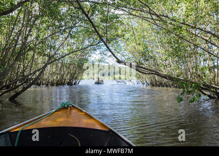 Itacare, Brasile - 9 Dicembre 2016: giro in barca per uscire da un mangrove green canale d'acqua Foto Stock