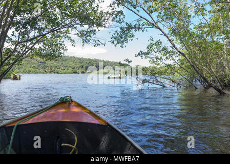 Itacare, Brasile - 9 Dicembre 2016: giro in barca per uscire da un mangrove green canale d'acqua Foto Stock