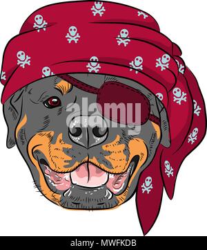 Vector cane Rottweiler pirata Illustrazione Vettoriale