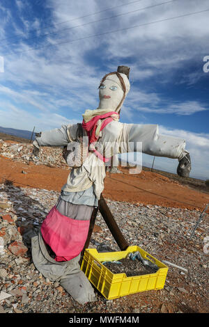 Coloratissimo spaventapasseri donna nel paesaggio, Oudtshoorn, garden route, sud africa Foto Stock