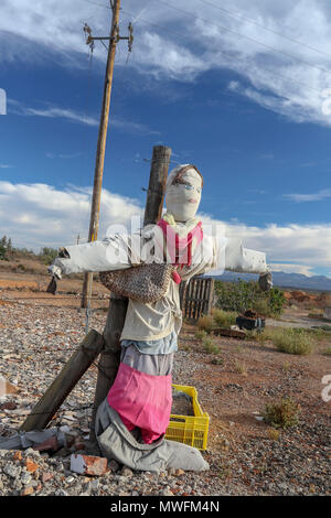 Coloratissimo spaventapasseri donna nel paesaggio, Oudtshoorn, garden route, sud africa Foto Stock