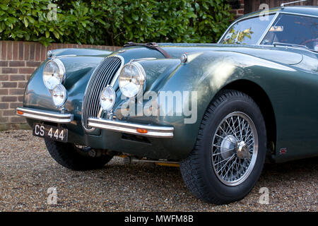 Jaguar XK 120 1954 testa fissa con pelle marrone Cinturini del cofano Foto Stock