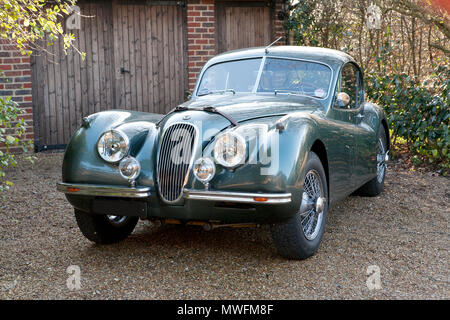 Jaguar XK 120 1954 testa fissa con pelle marrone Cinturini del cofano Foto Stock