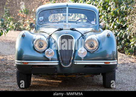 Jaguar XK 120 1954 testa fissa con pelle marrone Cinturini del cofano Foto Stock