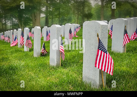 Tombe decorate di noi servizio militare i membri al cimitero di Virginia con un Bosco nebbioso in background. Foto Stock