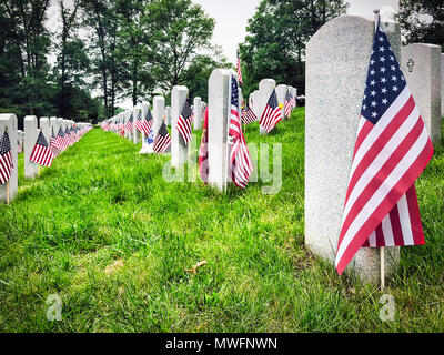 Tombe decorate di noi servizio militare i membri al cimitero di Virginia. Foto Stock