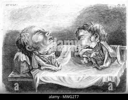 . John Bell (1763-1820): incisioni di ossa, muscoli e articolazioni…. Londra: stampate per Longman, Hurst, Rees e Orme…e T. Cadell e W. Davies…, 1810. Gennaio 2008. McLeod 79 testine a campana con i muscoli del collo Foto Stock
