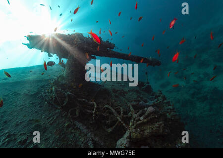 Cannone antiaereo di ss thistlegorm in controluce Foto Stock