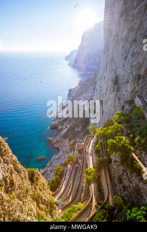 Vista panoramica di un avvolgimento percorso attraverso gli alberi di pino giù per la scintillante Mediterraneo acque blu dalla drammatica clifftop mountain costa di Capri Foto Stock