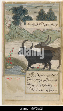 . Inglese: illustrazione di Ustad Mansur, noto come Nãdir-al-'ASR ('ineguagliabile dell'età'). Xvii secolo artista Mughal. 1 maggio 2015. Ustad Mansur, Nãdir-al-'ASR 391 Mansur-20 Foto Stock