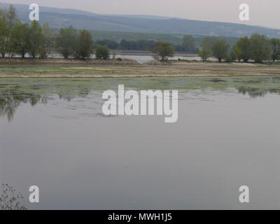 . Reno vicino alla città di Ingelheim estremamente a basso livello in estate secca di 2003, . Il 28 settembre 2003. Il dottor Hagen Graebner 515 ReinbeiIngelheim280903a Foto Stock