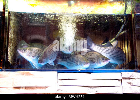 Pesce e verdure mercati in Chinatown, New York NY Foto Stock