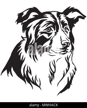 Ritratto decorativo di cane Border Collie, vettore isolato illustrazione in colore nero su sfondo bianco Illustrazione Vettoriale