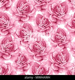 Rose fiori, petali e foglie in stile acquerello su sfondo bianco. Modello senza giunture per i tessili, la carta di avvolgimento, pacchetto, Illustrazione Vettoriale