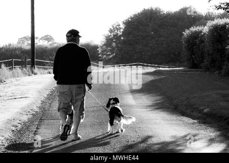 Un uomo anziano a piedi i suoi cani in bianco e nero Foto Stock
