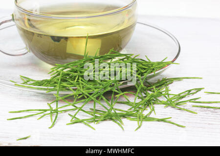 Horsetailtea, tè, tè medicinali, herbtea, pianta medicinale, Equisetum arvense, il campo equiseto o comuni o equiseto Foto Stock