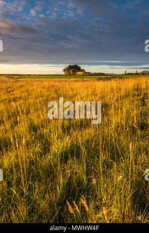 Tramonto nel sud dell'Islanda Foto Stock