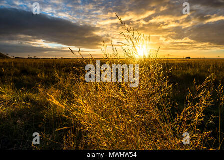 Tramonto nel sud dell'Islanda Foto Stock