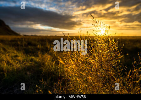 Tramonto nel sud dell'Islanda Foto Stock