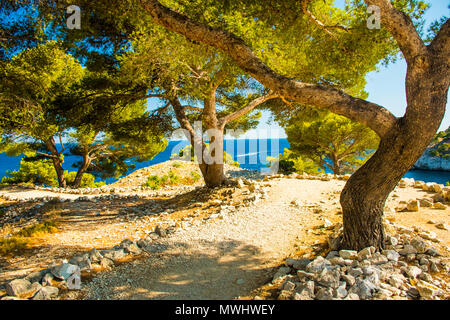 Calanque de porto miou - fiordo vicino al villaggio di Cassis in Provenza in Francia Foto Stock