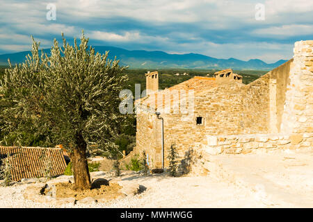 Vecchia casa e albero di olivo nella piccola cittadina tipica in Provenza in Francia Foto Stock