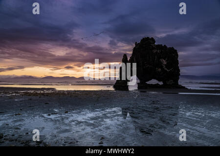 Famoso hvitserkur formazione rocciosa sulla riva del Nord Islanda Foto Stock