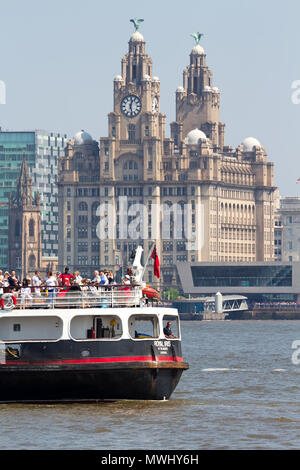 Il Traghetto Mersey Royal Iris passato a vela il fegato edifici sul fiume Mersey in Liverpool Regno Unito. Foto Stock