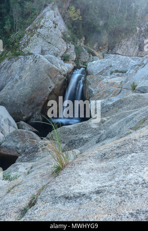 Cascata inferiore, metà acciuffato kingfisher trail, deserto parco nazionale, giardino percorso turistico, sud africa Foto Stock