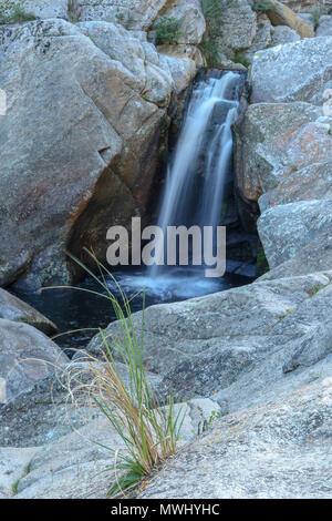 Cascata inferiore, metà acciuffato kingfisher trail, deserto parco nazionale, giardino percorso turistico, sud africa Foto Stock