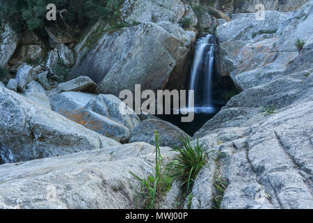 Cascata inferiore, metà acciuffato kingfisher trail, deserto parco nazionale, giardino percorso turistico, sud africa Foto Stock