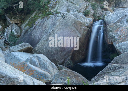 Cascata inferiore, metà acciuffato kingfisher trail, deserto parco nazionale, giardino percorso turistico, sud africa Foto Stock