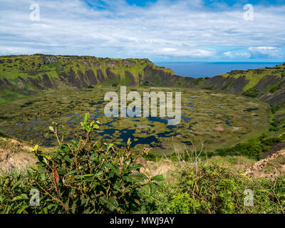 Crater Rim, Rano Kau vulcano estinto, con zona umida nel cratere e orizzonte dell'oceano, l'isola di pasqua, Rapa Nui, Cile Foto Stock