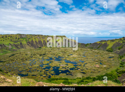 Crater Rim, Rano Kau vulcano estinto, con zona umida nel cratere, Isola di Pasqua, Rapa Nui, Cile Foto Stock