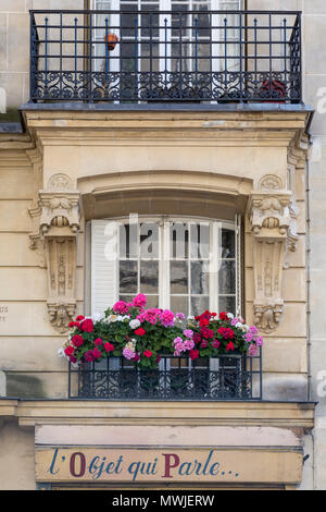 Coloratissimi gerani lungo una finestra balcone a Montmartre, Paris, Francia Foto Stock