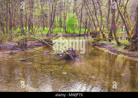 Fiume Bosna a Vrelo Bosne vicino a Sarajevo, Bosnia ed Erzegovina. In stile vintage. Foto Stock
