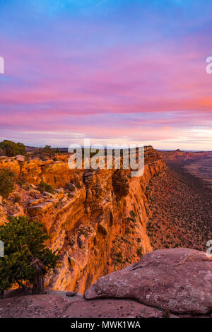 Vista verso sud lungo il Comb Ridge rupe dalla parte superiore nella luce del tramonto, pettine Lavare sotto, a nord dell'Autostrada 95 ovest di Blanding, Utah e nord di Bluff, USA Utah Foto Stock