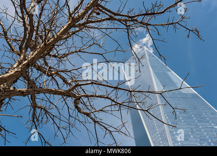 Tree e One World Trade Center di New York City, Stati Uniti d'America Foto Stock