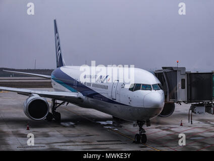 Wuhan, Cina - 14 Marzo 2018: All Nippon Airlines Airbus A321 parcheggiato a Wuhan Airport Foto Stock