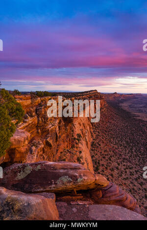 Vista verso sud lungo il Comb Ridge rupe dalla parte superiore nella luce del tramonto, pettine Lavare sotto, a nord dell'Autostrada 95 ovest di Blanding, Utah e nord di Bluff, USA Utah Foto Stock