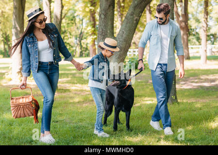 Giovani felici interracial famiglia con cane tenendo le mani e passeggiate nella foresta di sole Foto Stock
