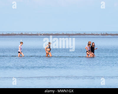 Un gruppo di giovani donne guadare in acque poco profonde vicino piana di sabbia con la bassa marea sul mare di Wadden, Paesi Bassi Foto Stock