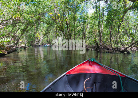 Itacare, Brasile - 9 Dicembre 2016: canoa attraversando una mangrovia canal sotto un tunnel di alberi Foto Stock