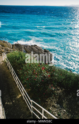 Bella e verde natura mediterranea e azur in mare promenade des anglais vista dal Quai Rauba Capeu Nice,Francia Foto Stock