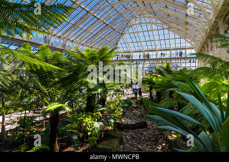 Recentemente ristrutturato e riaperto Casa Clima temperato in Kew Gardens, London, Regno Unito Foto Stock