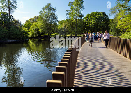 Sackler attraversando Ponte sopra il lago in Kew Gardens, London, Regno Unito Foto Stock