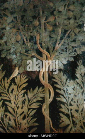 . Inglese: antico affresco romano di Pompei (Casa del frutteto) . 1 ° secolo. Questo file è privo di informazioni sull'autore. 492 Pompei-frutteto Foto Stock