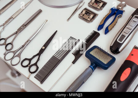 Vista ravvicinata di set di varie toelettatore strumenti sul tavolo bianco nel salone di pet Foto Stock