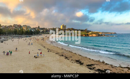 Coogee Beach in ora d'oro Foto Stock